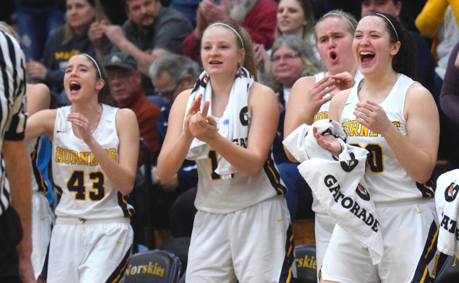 Markesan bench celebrates